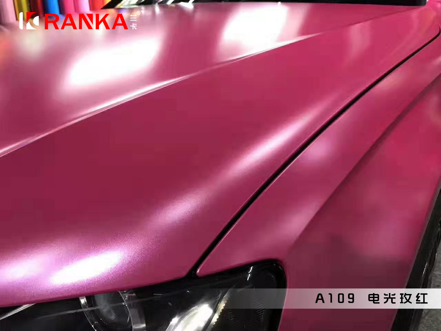 A109电光玫红 04.jpg