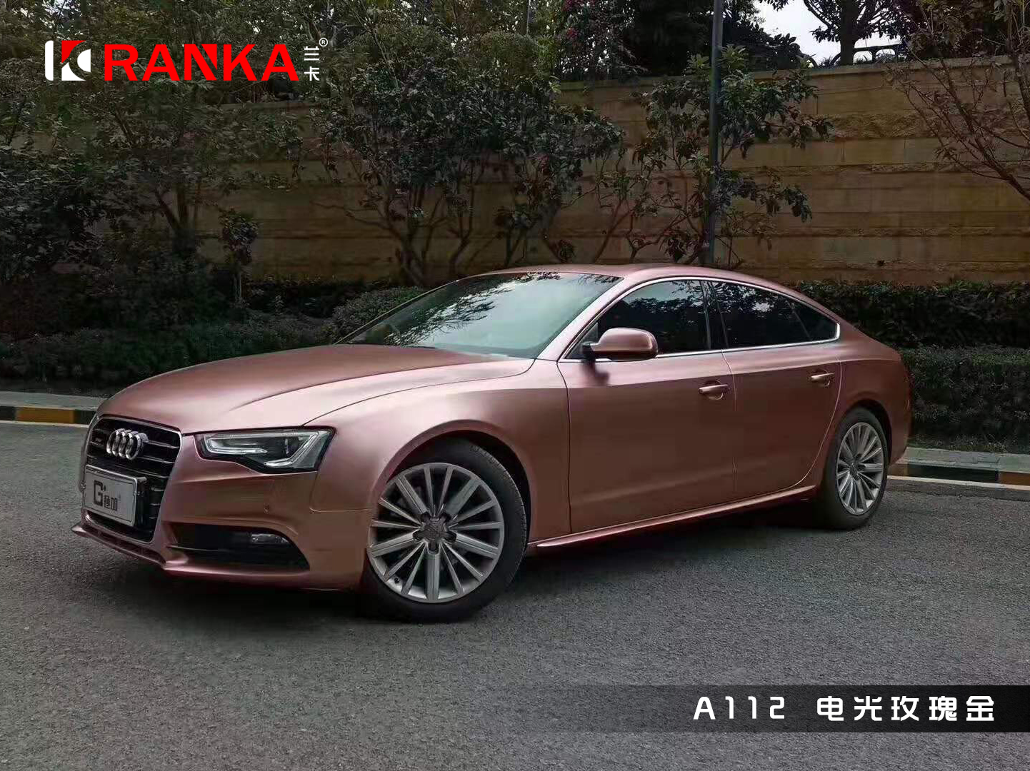 A112电光玫瑰金 03.jpg