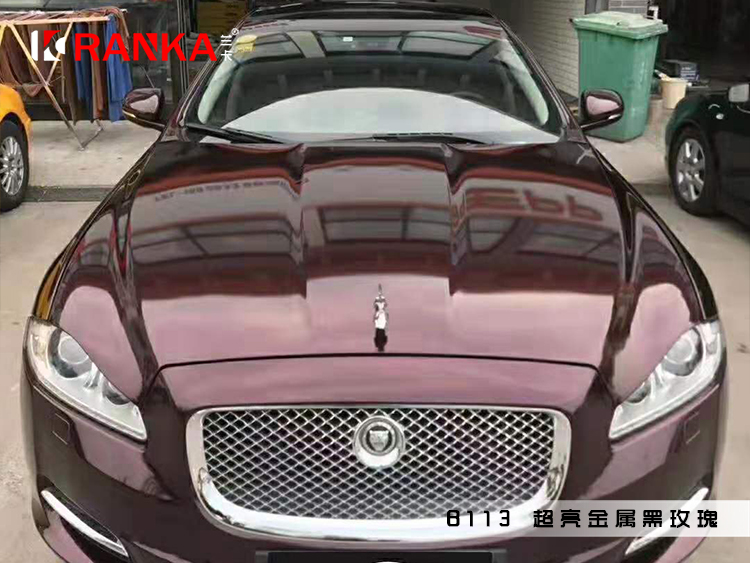 B113超亮金属黑玫瑰 01.jpg
